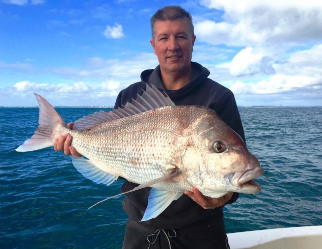 Snapper on the KG gear